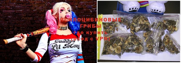 МДПВ Лабытнанги