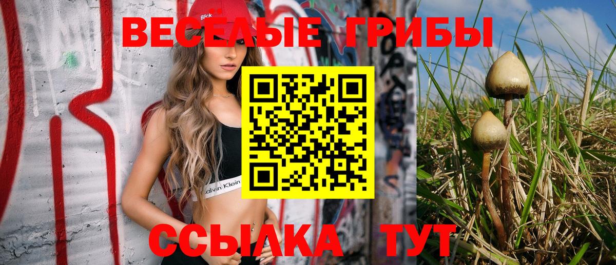 Псилоцибиновые грибы прущие грибы  Вход с VPN  Североуральск  Псилоцибиновые грибы прущие грибы 