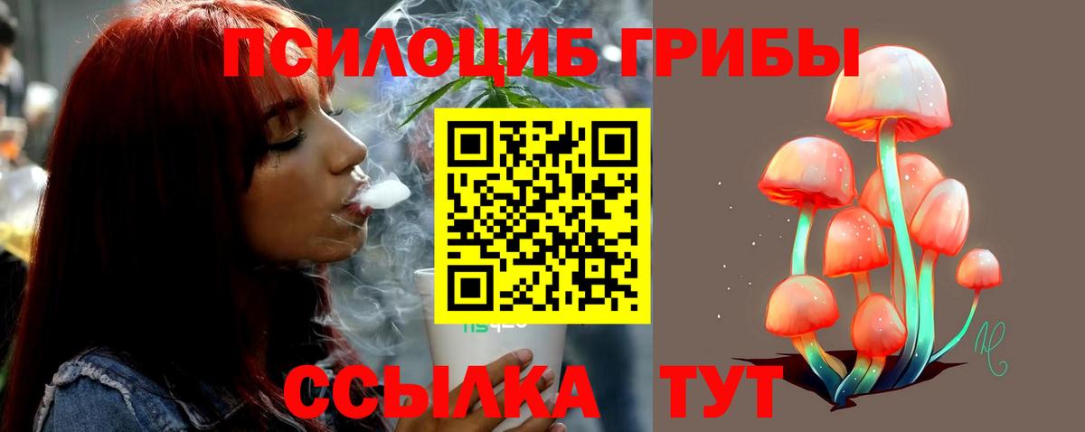 Псилоцибиновые грибы GOLDEN TEACHER Североуральск
